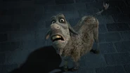 Zombie Donkey