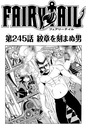 Cover 245