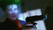 Jokerbirds