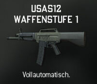 Usas12.jpg