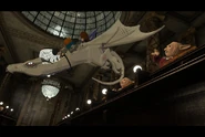 Gringotts Dragon
