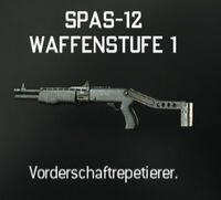 Spas12.jpg