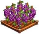 Raisins 02.png