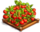 Tomates 02.png