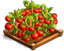 Tomates 02.png