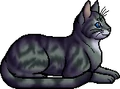 Boulder.elder.alt
