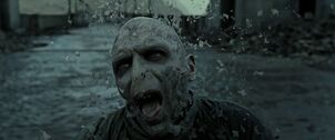 DeathofVoldemort