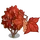 Striped Maple Tree-icon