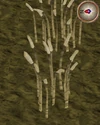 Barley4