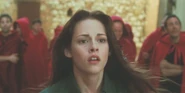New-moon-square-bella