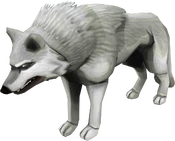 Big wolf