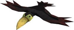 Bird11