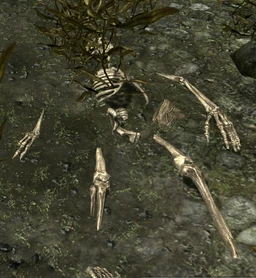 Reyda's Remains