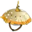 Paratrich
