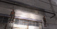 Hung zombies