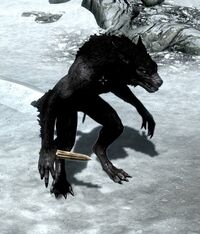 Werewolf wearing a dagger