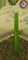 Cactus5