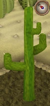 Cactus8