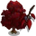 Black Gum Tree-icon