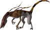 Cannibal jadinko