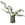 Giving Tree-icon