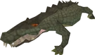 Crocodile