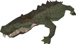 Crocodile