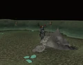 Dagannoth mother collapsed