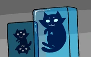 Kittehs