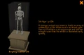 Display 26.png