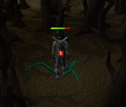 Draynor-vine