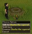 Easter2010 Start TalkToSquirrel.png