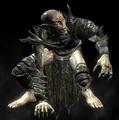 Falmer simple.jpg