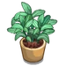 Potted Sage-icon.png