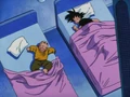 GokuKrillinBeds