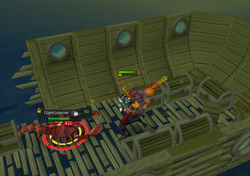 Giant lobster fight