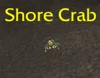 ShoreCrab