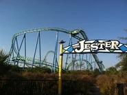 Jester coaster