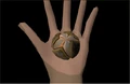 Hazelmere Pod.png