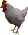 Horses white.png