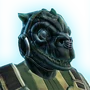 Qyzen fess
