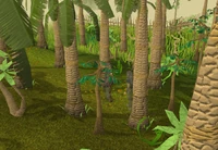 Jungle scout