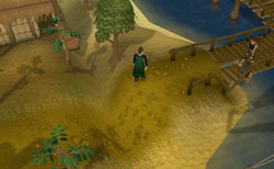 Karamja ditch