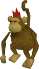 Karamja monkey