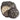 Truffle