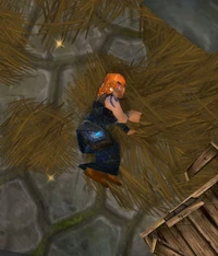 DunwaldVictim