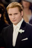 BDCarlisleWedding
