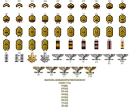 Bf3badges
