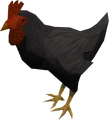 Horses black.png