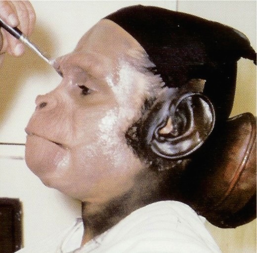Sal_Mineo_makeup3.jpg